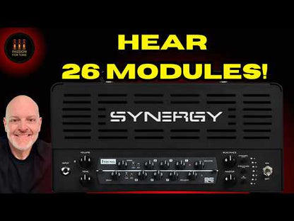 SYNERGY SYN-20IR - 20 WATT ALL TUBE HEAD