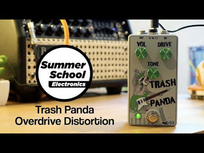 Summer School Electronics Trash Panda Distortion