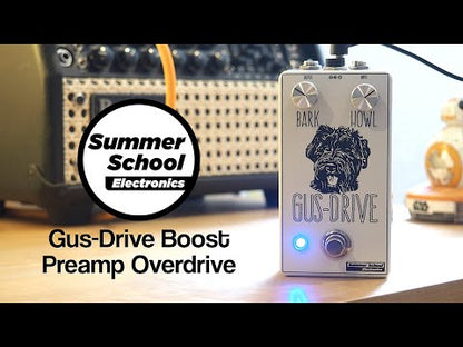 Summer School Electronics Gus-Drive