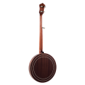 Recording King - RK-R20 Songster Resonator Banjo