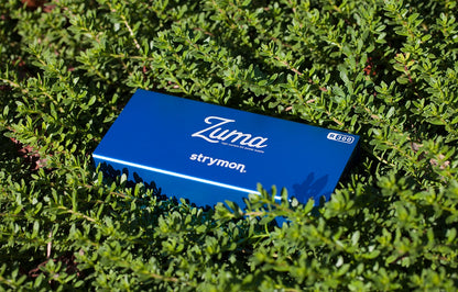 Strymon Zuma R300 Power Supply-Low Profile DC Power Supply